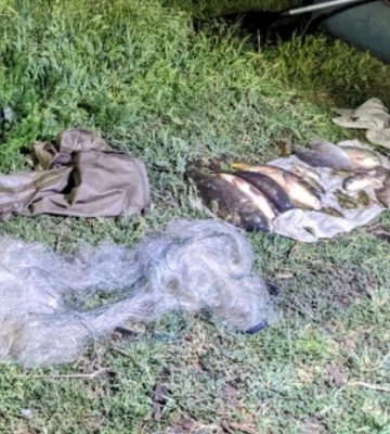 На найбільшому озері Одеської області спіймали браконьєрів