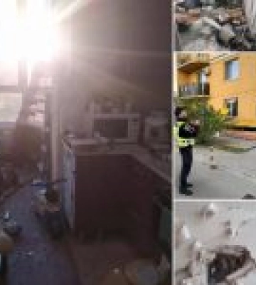 Які наслідки нічної терористичної атаки дронами по Києву: ДСНС показала фото