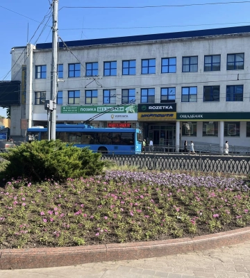 У Рівному розбетонували частину вулиці та засадили квітами