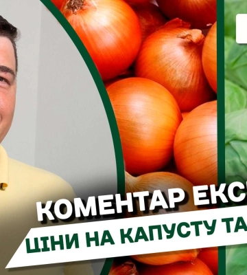 У Дніпрі ціни на капусту та цибулю б&#039;ють рекорди: причини (Відео)