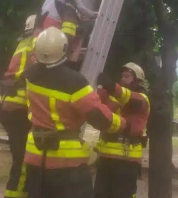 Запорізькі рятувальники зняли з дерева хлопчика
