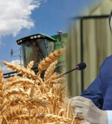 Украина призывает не продлевать запрет на импорт зерна: у Еврокомиссии другое мнение на этот счет