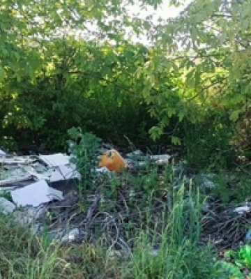 На околицях Луцька розвели стихійні сміттєзвалища 