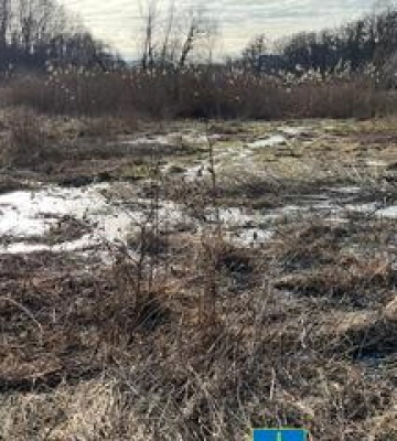На Диканщині забруднили заповідну зону стічними водами