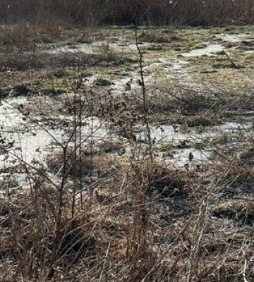 Полтавську чиновницю судитимуть за знищення колектора