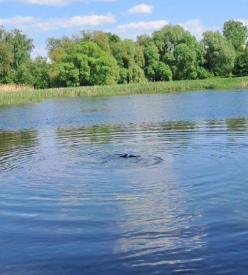 У Луцьку визначили місця масового відпочинку на водоймах (ФОТО)