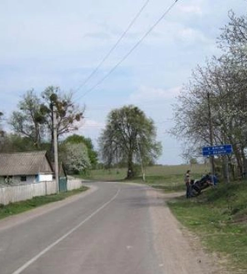 У громаді на Полтавщині встановили карантин через сказ