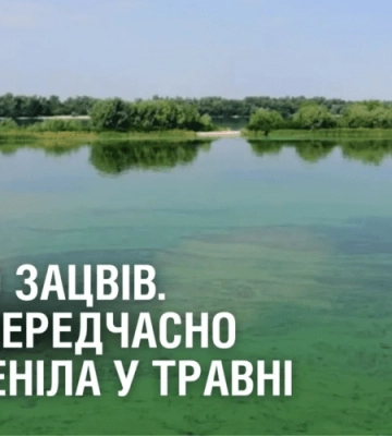 ДНІПРО ЗАЦВІВ. Вода передчасно позеленіла у травні