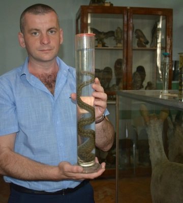 На Закарпатті вже зафіксували два випадки укусу гадюки