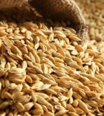 Україна наполягає на необхідності вільного руху агропродукції країнами ЄС