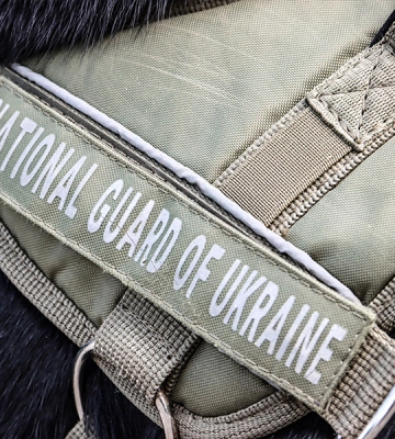 На Одещині нагородили службову собаку Кіру та гвардійців-кінологів 