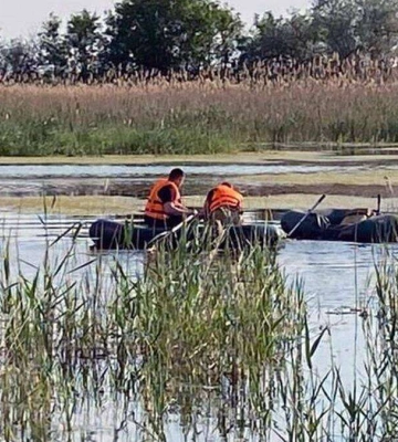 У Дніпрі на Перемозі з річки витягли золоту рибку 