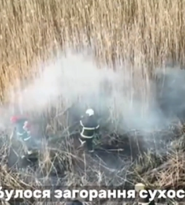 Гасили понад 7 годин: рятувальники показали, як горіло поле біля Луцька (відео)