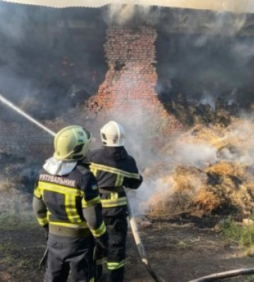 На Берегівщині рятувальники ліквідували пожежу