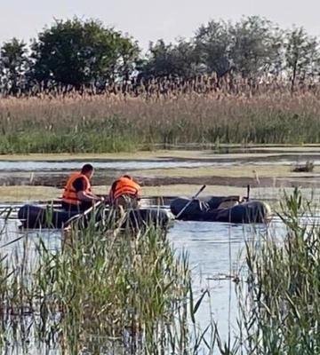 У Дніпрі на Перемозі з річки витягли золоту рибку 
