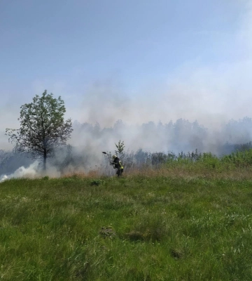 У Луцькому районі згоріло два гектари поля: правоохоронці шукають палія