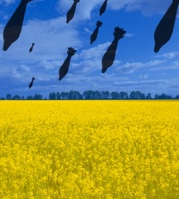 Росія продовжує атакувати Київ: що відомо про нічний удар 2 червня