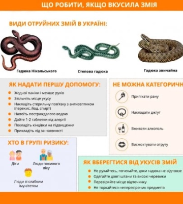 На Міжгірщині, змія укусила 56- річного місцевого мешканця