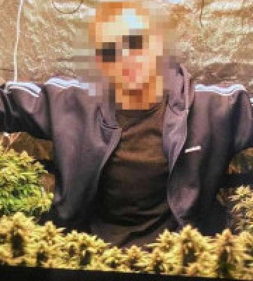 У Києві двоє чоловіків налагодили вирощування конопель в орендованій квартирі (фото, відео)