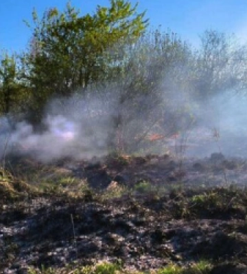 Цьогоріч у Львівській громаді зафіксували 29 пожеж сухої трави