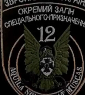 Загін ССО України знищує спостережний пункт військ РФ та російських окупантів при спробі облаштувати бліндаж. ВIДЕО