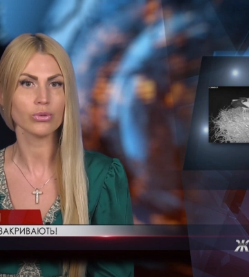 У національному природничому парку «Пирятинський» припинили стрім з лелечиного гнізда