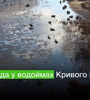 Кишкові палички та сальмонела: яка вода у водоймах Кривого Рогу