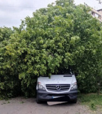 У мережі показали наслідки негоди в Києві