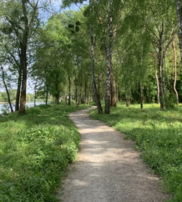 В Україні у неділю без опадів, вдень прогріє до +25°