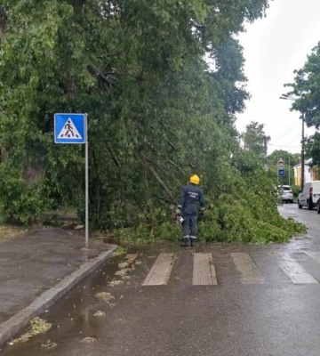 У мережі показали наслідки негоди в Києві