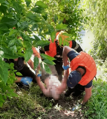 В Кривом Роге обнаружили двух водителей с поддельными документами