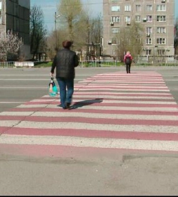На Волині водія буса, який збив пішохода, оштрафували на 850 гривень