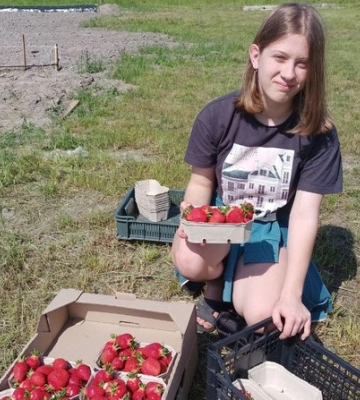 На полі вся родина: як волинський атовець вирощує полуницю