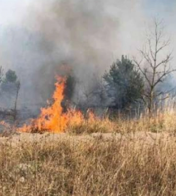 На Львівщині минулої доби вогнеборці ліквідували 4 пожежі сухої трави