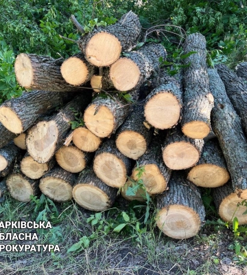 Чоловік заплатить майже 200 тис. грн за 30 зрубаних на Харківщині дерев