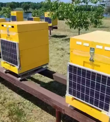 На Київщині запрацювала IT-пасіка українсько-польських розробників AmoHive