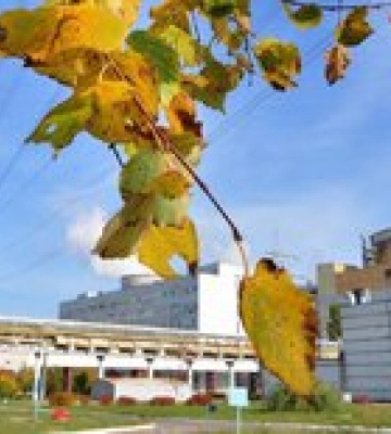 Глава МАГАТЭ потребовал допустить экспертов агентства на Запорожскую АЭС