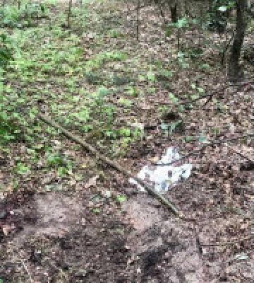 У Бучанському районі Київщини жінка підірвалась на ворожій міні