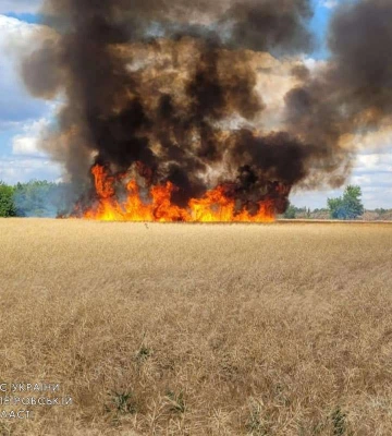 Російські військові спалили 50 гектарів полів Криворізького району