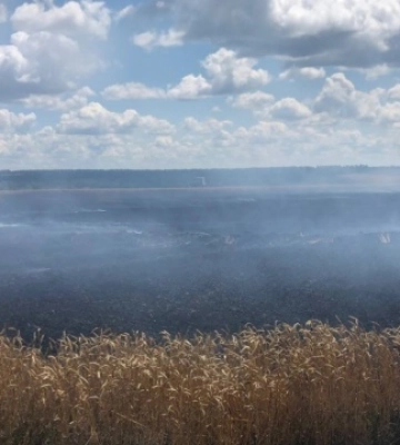 На Харківщині внаслідок ворожого обстрілу загорілися два поля з пшеницею