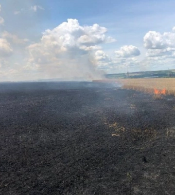 Окупанти обстріляли на Харківщині пшеничні поля, загорілося 60 га