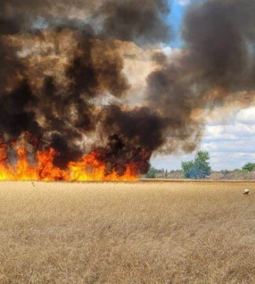 Згоріло 50 гектарів полів: окупанти обстріляли Дніпропетровщину