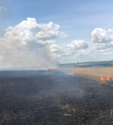 Окупанти спалили на Харківщині два поля зі стиглою пшеницею 