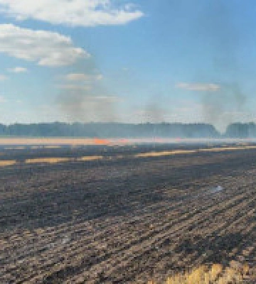 На Дніпропетровщині через ворожі обстріли згоріло понад 400 гектарів посівів