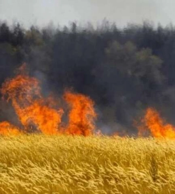 Битва за врожай. Українські аграрії потрапили в котел Битва за врожай. Українські аграрії потрапили в котел