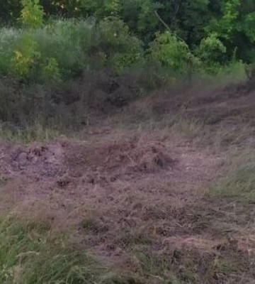 18 прильотів: рашисти обстріляли з гранатометів громаду на Сумщині, - Живицький
