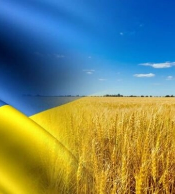 США працюють над &quot;планом Б&quot; для експорту українського зерна після обстрілу Одеси