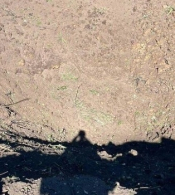 18 прильотів: рашисти обстріляли з гранатометів громаду на Сумщині, - Живицький