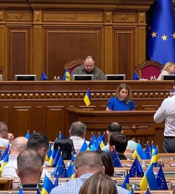 Рада назначила нардепа Совгирю судьей КСУ