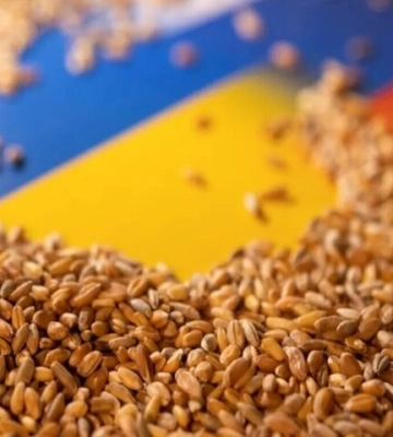 У Стамбулі запрацював координаційний центр експорту зерна з України